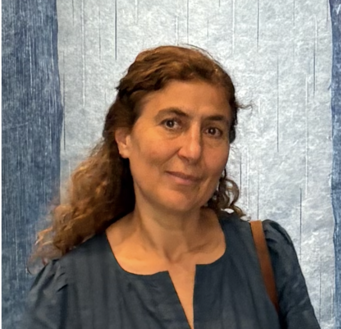 A photo of Eleni Tsaggouri
